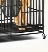 48'' Heavy Duty Dog Crates for Large Dogs — collection imagery