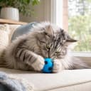 Sponge Soccer Ball Cat Toys for Cats and Kittens - Interactive and Colorful Plush Toy