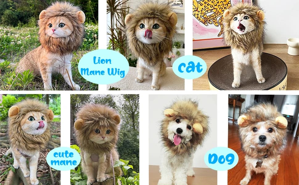 Lion Mane Wig for Cat Costume Pet Adjustable Washable Comfortable Fancy Lion Hair Cat Clothes Dress for — Fits Most Cats and Small Dogs