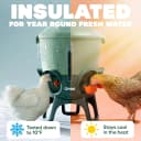 Insulated Chicken Waterer, 3 Gallon | Automatic Poultry Water Dispenser with 5 Cups and Nipples Included |