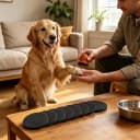 31 Pcs Dog Nail File, Wooden Manual Dog and Cat Nail Filer for Scratch Board with 30 Replaceable Discs