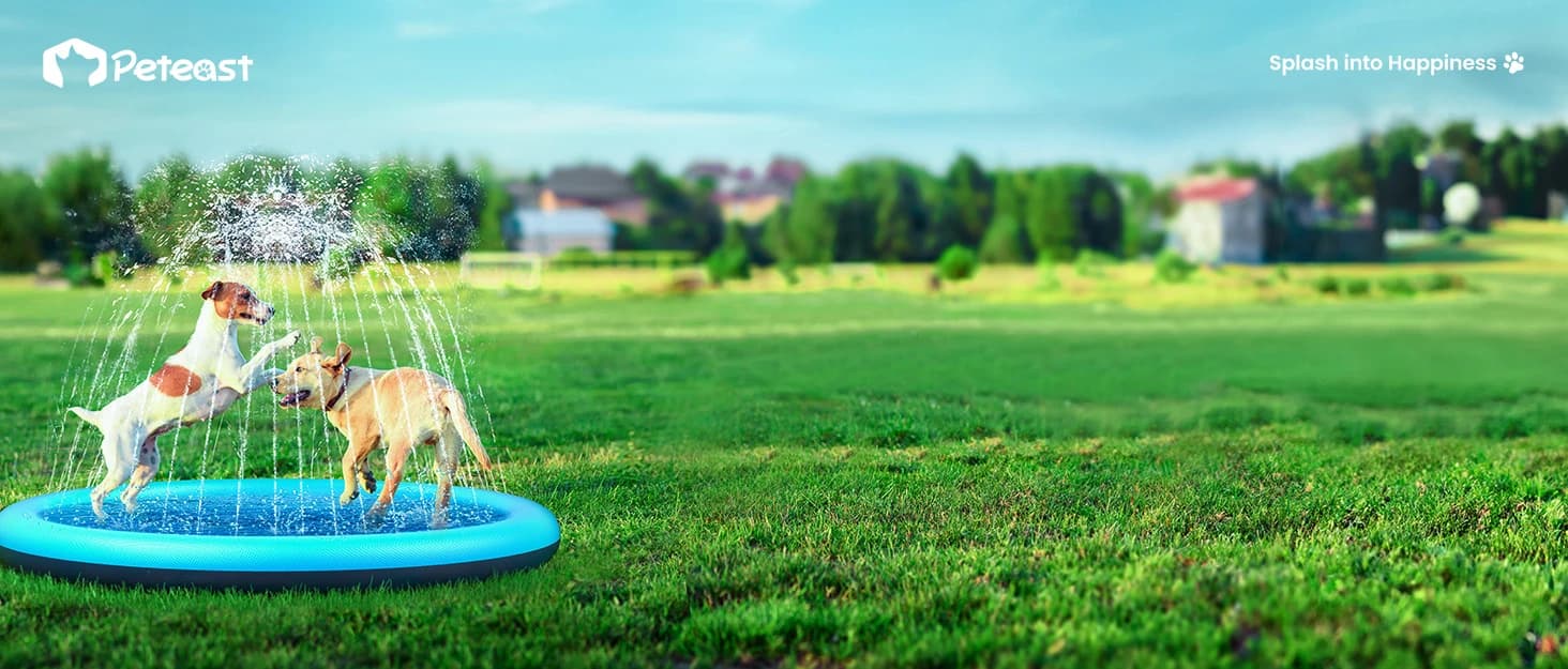 Dog Pool for Large Dogs — Foldable Hard Plastic — collection imagery