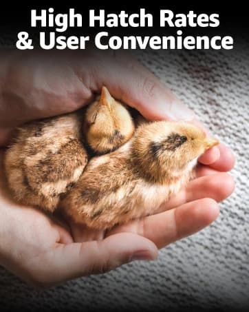 Ecoglow Safety 600 Chick or Duckling Brooder — collection imagery