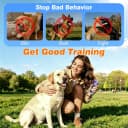 Dog Bark Deterrent Devices, Anti Barking Device for Dogs – Dual Ultrasonic (Fixed 25 kHz/Adaptive 20-30 kHz)