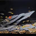 Slate Rock for Aquarium — 5-7 Inch Polished Natural Stone Rocks
