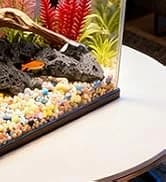 Reptile Fogger Humidifier — Automatic Humidifiers for Reptiles Tank — collection imagery