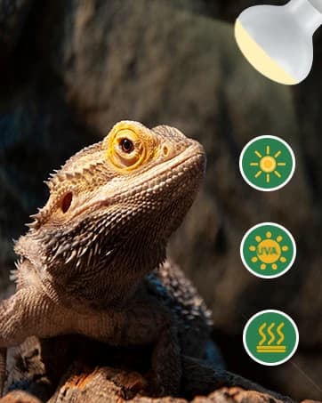 150W Ceramic Heat Emitter — Reptile Heat Bulbs — collection imagery