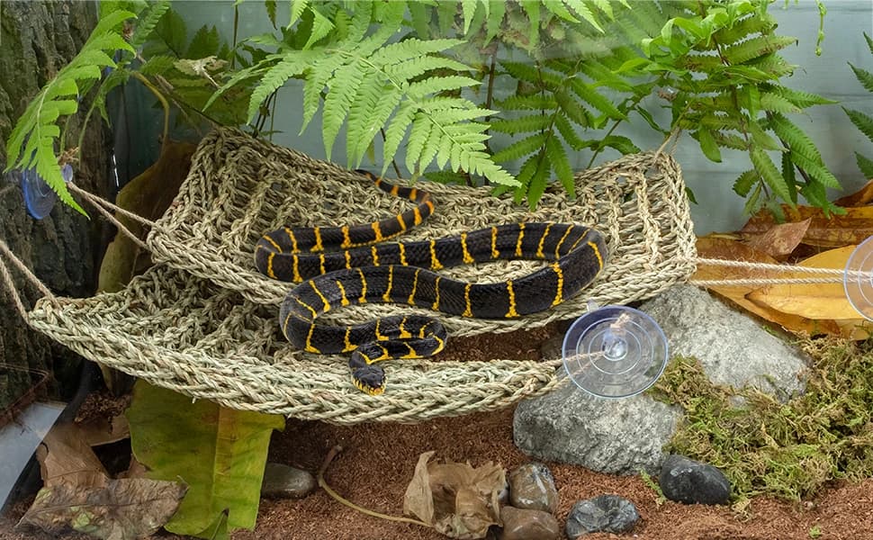 Bearded Dragon Seagrass Hammock — product details