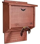 Squirrel-Proof Cedar Hopper Bird Feeder — collection imagery