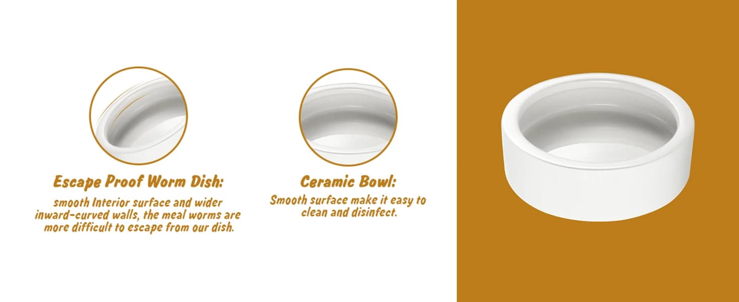 Reptile Food Dish Bowl — 2Pcs Lizard Gecko Worm Water Bowls Small (2.75in) — product details