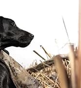 Final Stand Dog Adjustable Training Platform and Storage Panel | Hunting Stand | Elevated Pet System for Place — collection imagery