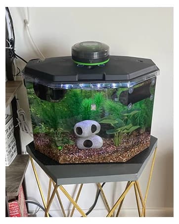Automatic Fish Feeder for Aquarium Easy Setup & 4 Timers — collection imagery
