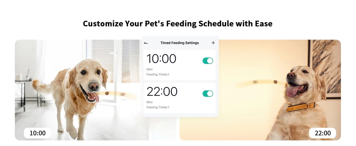 2K Pet Camera Treat Dispenser — collection imagery