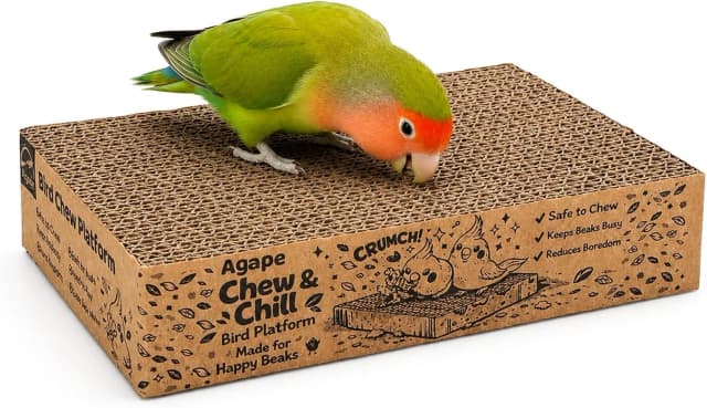 Parrot Chew Toy — Shreddable Cardboard Bird Platform