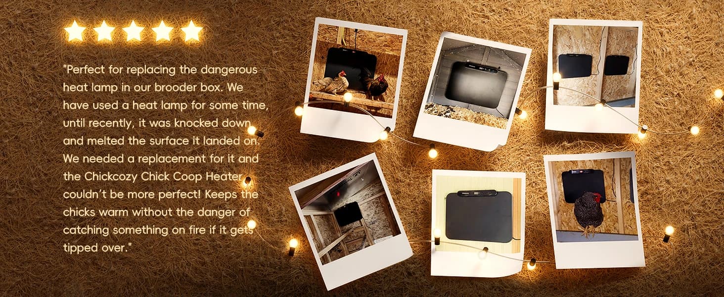 Smart Chicken Coop Heater — 200W Radiant Heat Panel with Temperature Sensor — product details