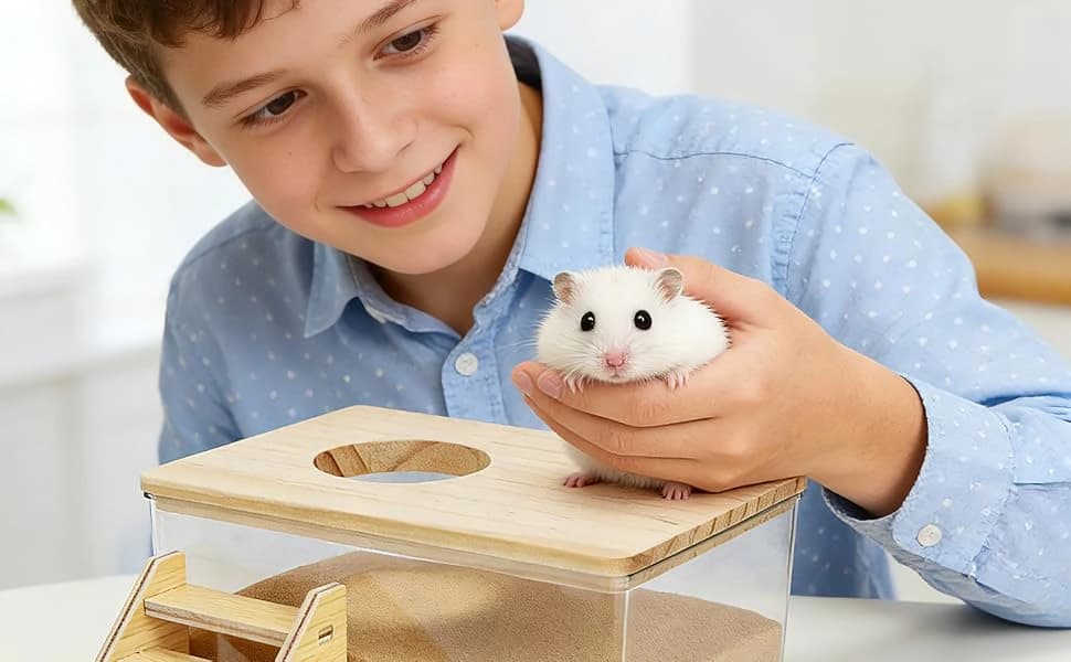 Hamster Sand Bath Box with Wood Cover — Multifuntional