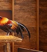 Smart Chicken Coop Heater — 200W Radiant Heat Panel with Temperature Sensor — collection imagery