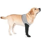 Dog Lift Harness, Pet Support and Rehabilitation Sling Lift Adjustable Padded Breathable Straps for Old — collection imagery