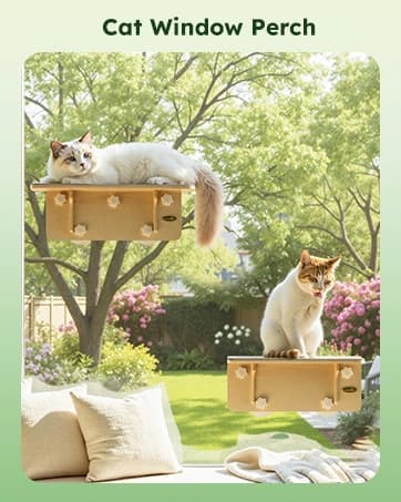 Cat Backpack Expandable — Cat Carrier Backpack with Breathable Window — collection imagery
