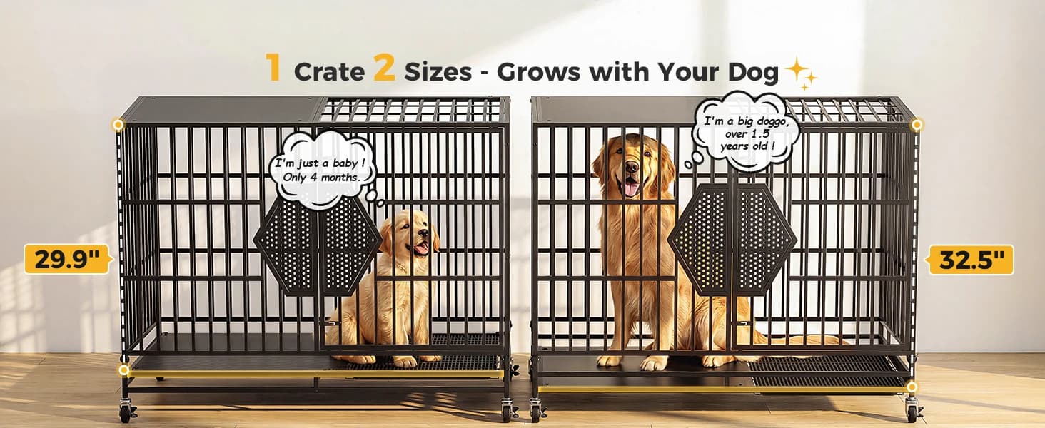 48'' Heavy Duty Dog Crates for Large Dogs — collection imagery