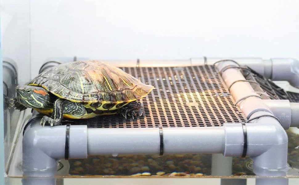 Large Turtle Basking Platform for Aquatic Turtles — Turtle Basking Platform