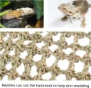 Bearded Dragon Seagrass Hammock