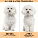 Slicker Brush for Dogs and Cats