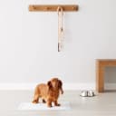 Scented Dog and Puppy Potty Training Pee Pads