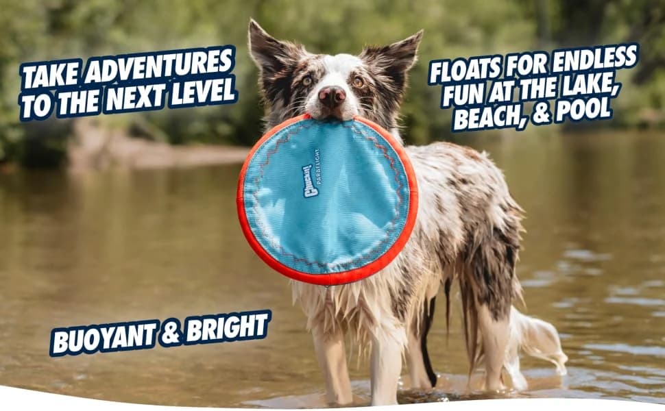 Paraflight Flying Disc Dog Toy — product details
