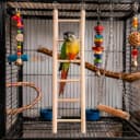 3 Pcs Bird Ladder — Wooden Bird Cage Ladder Bird-Ladder for Cage Climbing Ladders for Parakeets Parrots Cockatoo(4