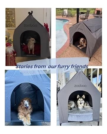 Large Dog House Outdoor — 36in Elevated 2-in-1 Cot and Canopy — collection imagery