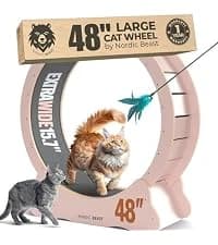 48'' XL Cat Wheel β Safe, Quiet and Stable Exercise Wheel for Large Indoor Cats up to 45 lbs β 15.7'' β collection imagery