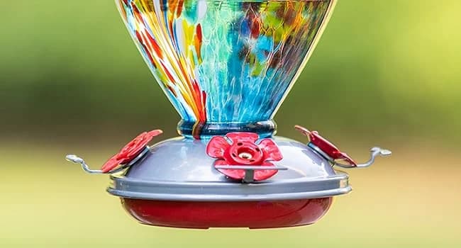 Hummingbird Feeders for Outdoors Hanging — WHY IS BETTER?