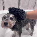 Clean Paws Chenille Microfiber Dog Towel Mitt - Super Absorbent