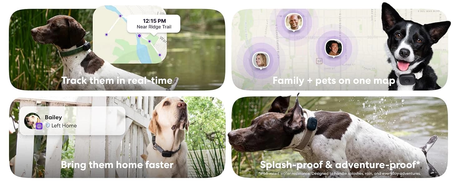 Pet GPS Tracker for Dogs | Live Tracking — product details