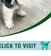 Dog Wheelchair for Back Legs — Adjustable Mobility Cart for Dog — collection imagery