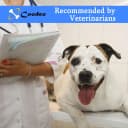 Dog Lift Harness, Pet Support and Rehabilitation Sling Lift Adjustable Padded Breathable Straps for Old