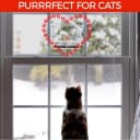 Window Bird Feeder with Strong Suction Cups