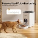 Automatic Cat Feeder — 4L Timed Dry Food Dispenser for Cats and Dogs