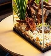 Reptile Fogger Humidifier — Automatic Humidifiers for Reptiles Tank — collection imagery