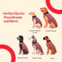 Dog Surgery Recovery Suit — Male Female After Spay Neuter Onesie