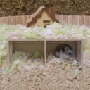 Hamster Peep Tunnel — 2-Chamber Wooden Hamster Hideout