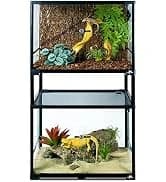 3 in 1 Reptile Hide Cave with Detachable Base and Humidity Dish — collection imagery