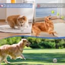 Automatic Ball Launcher for Dogs Large- 3 Distance Settings (40/60/80FT) w/Remote Control | 2.5" ETPU Tennis