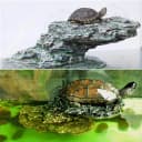 Turtle Basking Platform Baby Tortoise Climbing Ramp Shale Reptiles Dock Resting Terrace Stone Aquarium Ornament