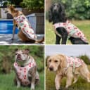 Dog Cooling Vest - Evaporative Summer Cooling