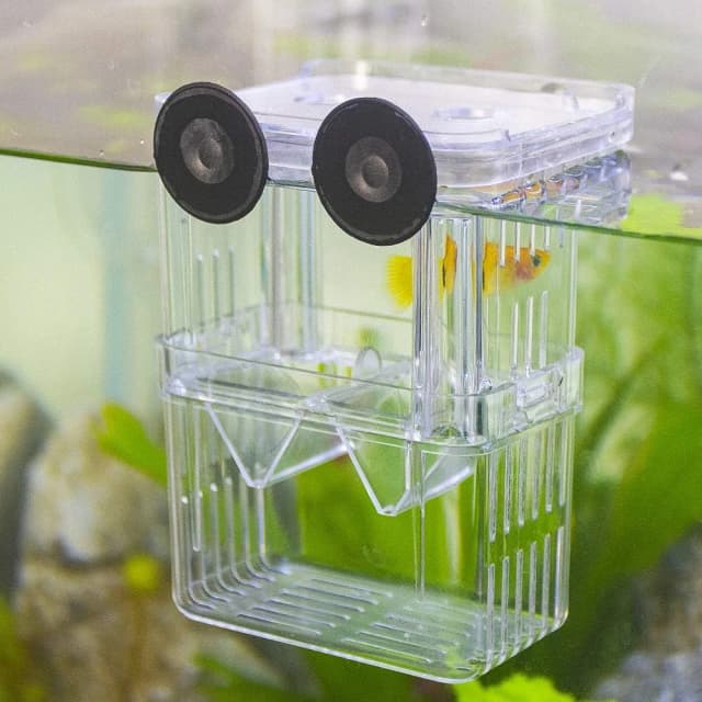 Aquarium Fish Breeder Box Plastic Fish Isolation Breeding Box Hatching Incubator Box for Baby Fishes Shrimp