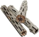3 Pack Shrimp Cholla Wood — Aquarium Driftwood Decor for Fish Tank Setup