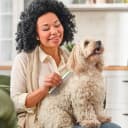 Dog and Cat Grooming Comb for Removes Tangles