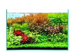 Aquarium Soil for Planted Tanks — Nutrient-Rich Organic Formula